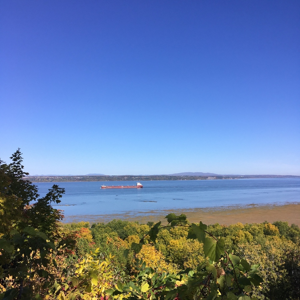 Meet your Posher, Sandrine